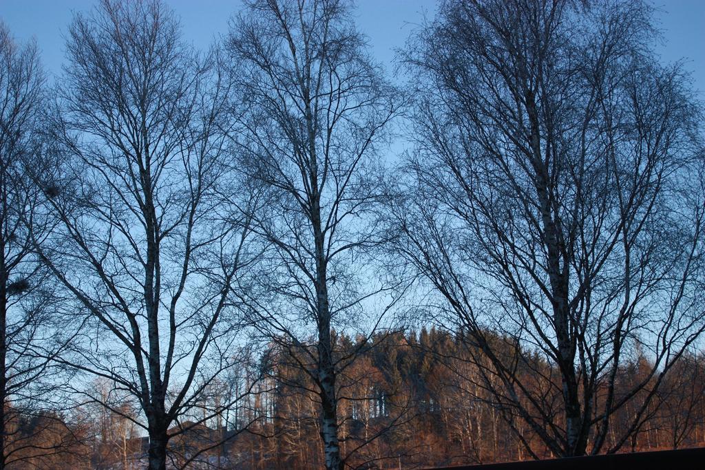 Ferienwohnungen Neukirchen Neukirchen am Teisenberg Eksteriør bilde